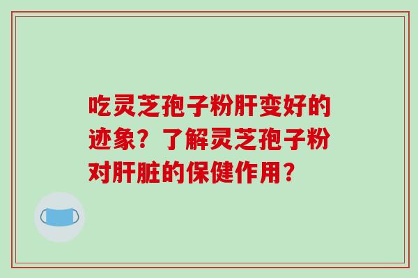吃灵芝孢子粉肝变好的迹象？了解灵芝孢子粉对肝脏的保健作用？