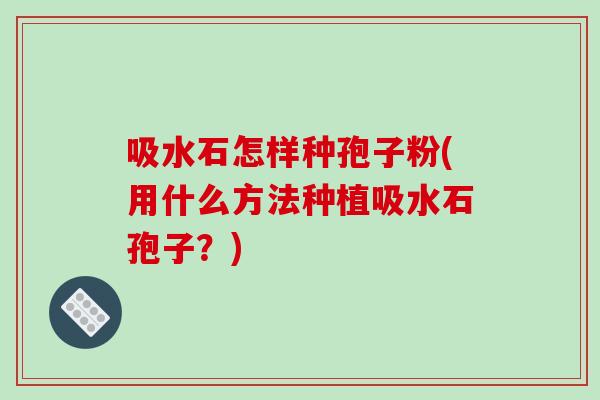 吸水石怎样种孢子粉(用什么方法种植吸水石孢子？)
