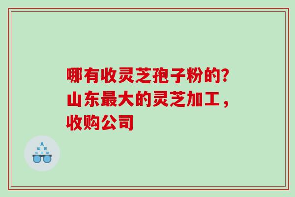 哪有收灵芝孢子粉的？山东最大的灵芝加工，收购公司