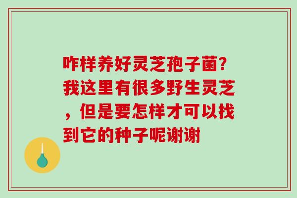 咋样养好灵芝孢子菌？我这里有很多野生灵芝，但是要怎样才可以找到它的种子呢谢谢