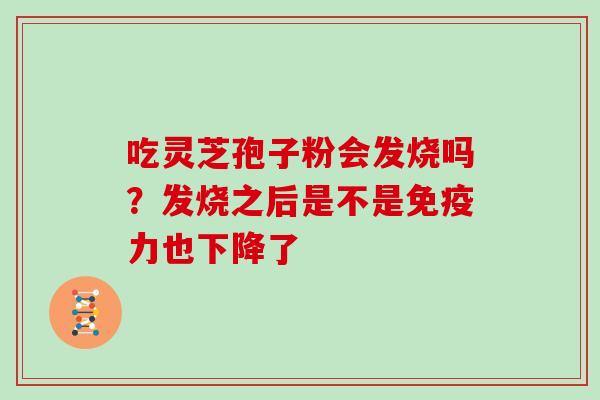 吃灵芝孢子粉会发烧吗？发烧之后是不是免疫力也下降了