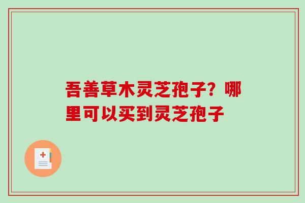 吾善草木灵芝孢子？哪里可以买到灵芝孢子