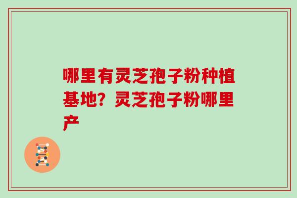哪里有灵芝孢子粉种植基地？灵芝孢子粉哪里产