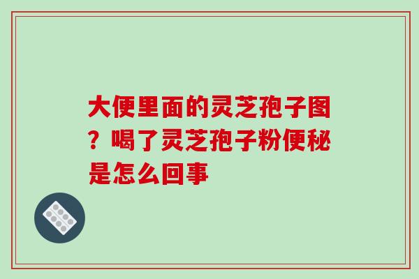 大便里面的灵芝孢子图？喝了灵芝孢子粉便秘是怎么回事