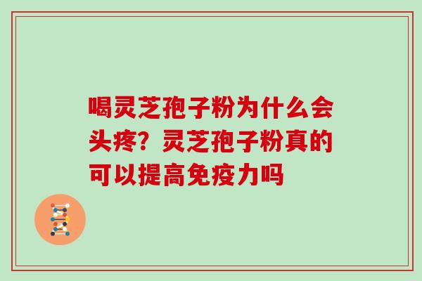 喝灵芝孢子粉为什么会头疼？灵芝孢子粉真的可以提高免疫力吗