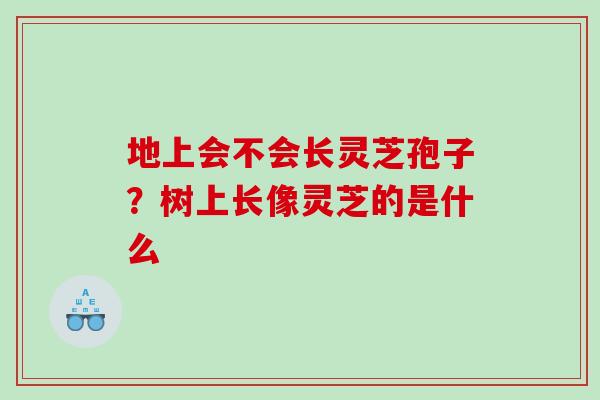 地上会不会长灵芝孢子？树上长像灵芝的是什么