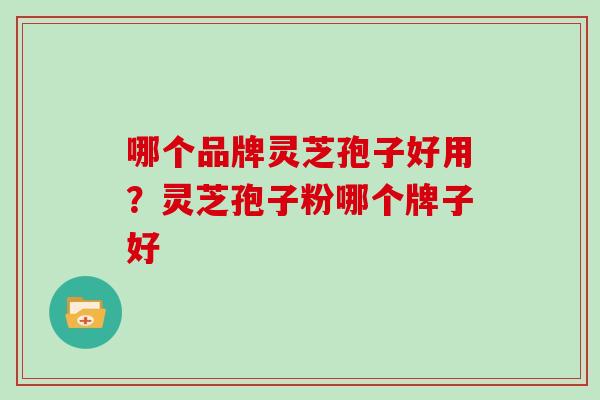 哪个品牌灵芝孢子好用？灵芝孢子粉哪个牌子好