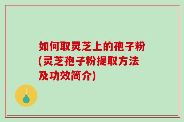 如何取灵芝上的孢子粉(灵芝孢子粉提取方法及功效简介)