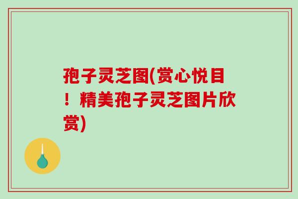 孢子灵芝图(赏心悦目！精美孢子灵芝图片欣赏)