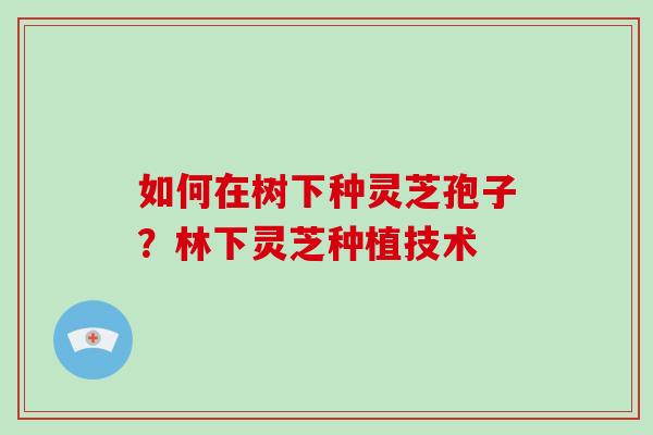 如何在树下种灵芝孢子？林下灵芝种植技术