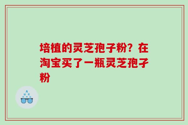 培植的灵芝孢子粉？在淘宝买了一瓶灵芝孢孑粉