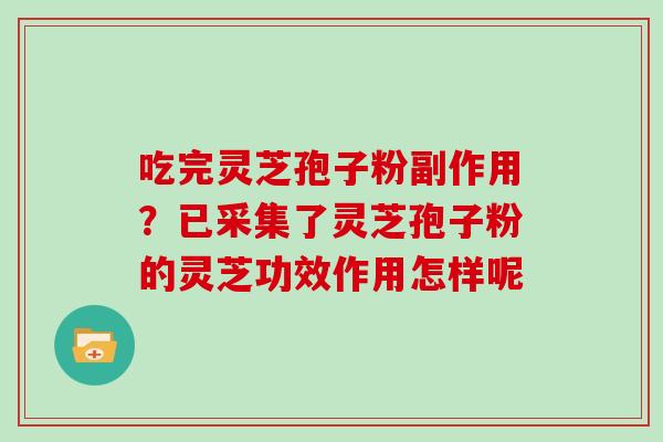 吃完灵芝孢子粉副作用？已采集了灵芝孢子粉的灵芝功效作用怎样呢