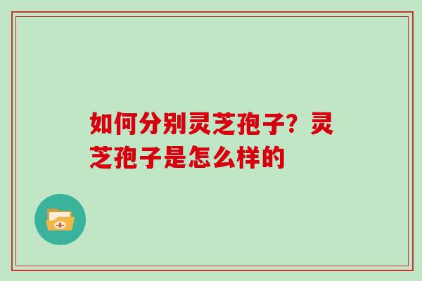 如何分别灵芝孢子？灵芝孢子是怎么样的