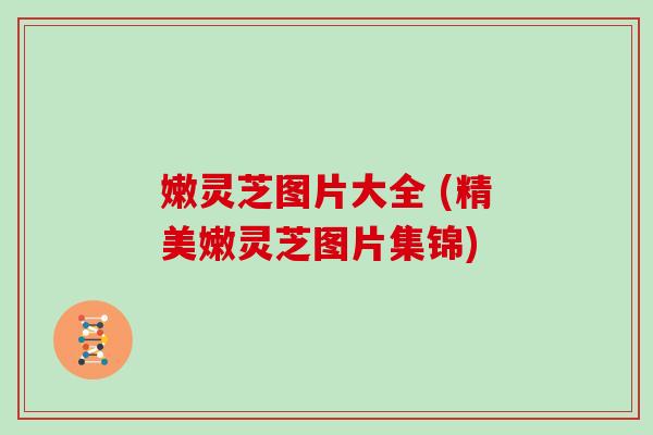嫩灵芝图片大全 (精美嫩灵芝图片集锦)