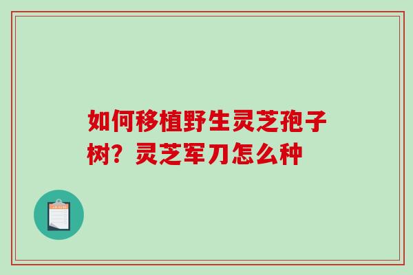 如何移植野生灵芝孢子树？灵芝军刀怎么种
