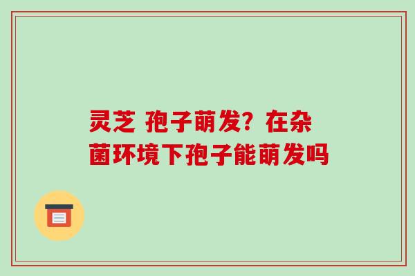 灵芝 孢子萌发？在杂菌环境下孢子能萌发吗