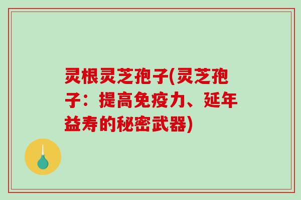 灵根灵芝孢子(灵芝孢子：提高免疫力、延年益寿的秘密武器)