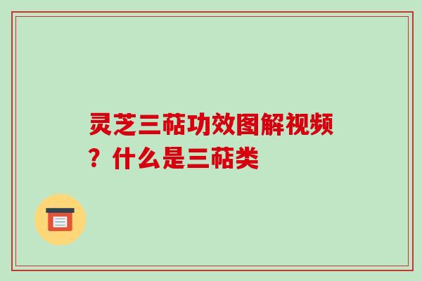 灵芝三萜功效图解视频？什么是三萜类