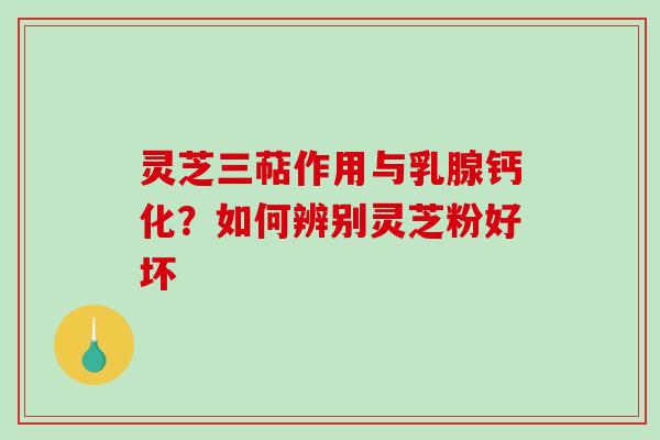 灵芝三萜作用与乳腺钙化?如何辨别灵芝粉好坏 灵芝三萜作用与乳腺钙化?如何辨别灵芝粉好坏