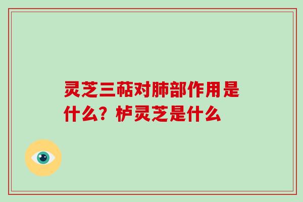 灵芝三萜对部作用是什么?栌灵芝是什么 灵芝三萜对部作用是什么?栌灵芝是什么