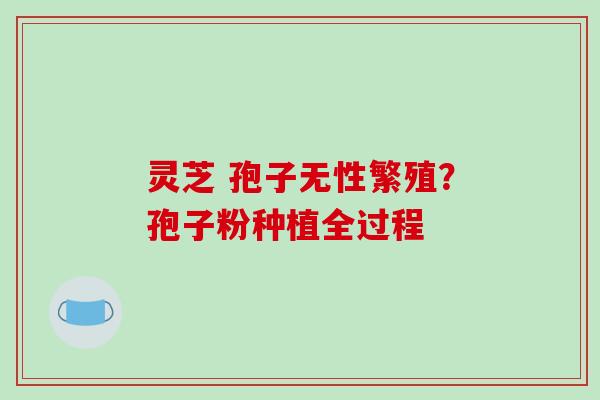灵芝 孢子无性繁殖？孢子粉种植全过程
