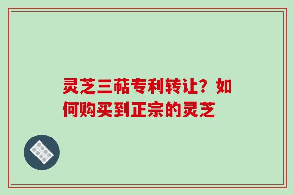 灵芝三萜专利转让？如何购买到正宗的灵芝