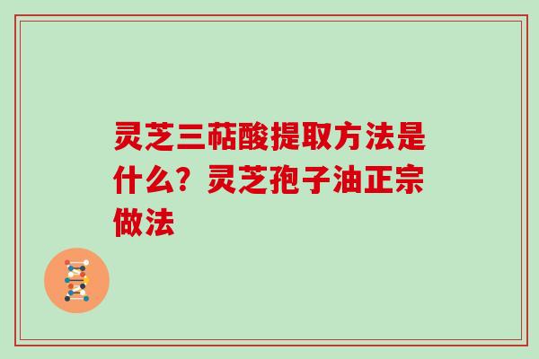 灵芝三萜酸提取方法是什么？灵芝孢子油正宗做法