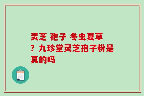 灵芝 孢子 冬虫夏草？九珍堂灵芝孢子粉是真的吗