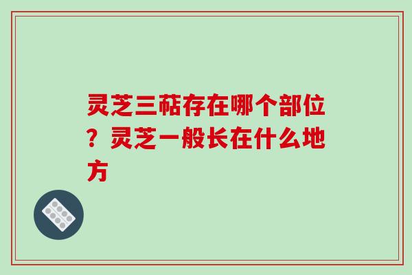灵芝三萜存在哪个部位?灵芝一般长在什么地方 灵芝三萜存在哪个部位?灵芝一般长在什么地方