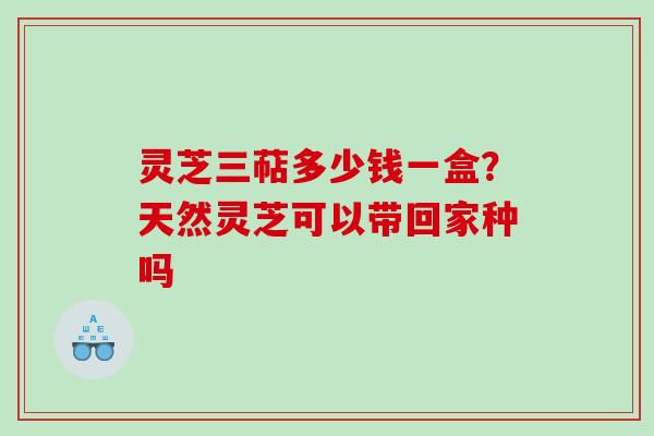 灵芝三萜多少钱一盒？天然灵芝可以带回家种吗