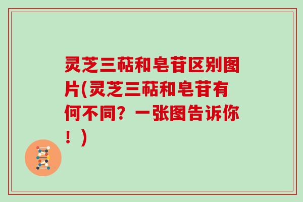 灵芝三萜和皂苷区别图片(灵芝三萜和皂苷有何不同？一张图告诉你！)