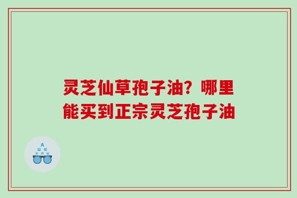 灵芝仙草孢子油？哪里能买到正宗灵芝孢子油