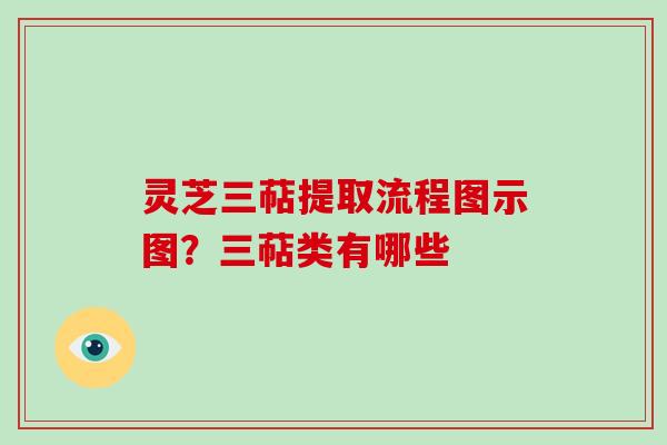 灵芝三萜提取流程图示图？三萜类有哪些