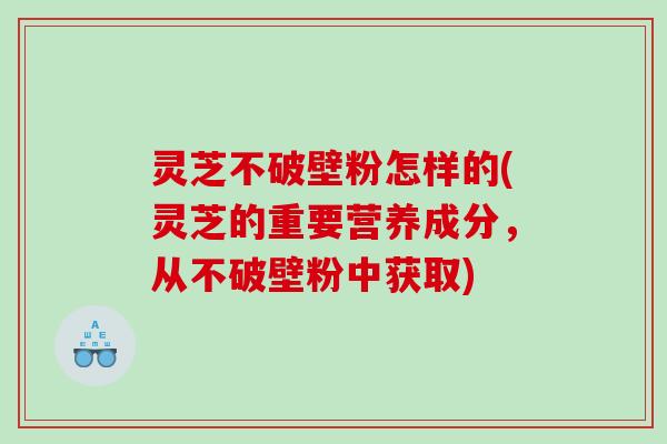 灵芝不破壁粉怎样的(灵芝的重要营养成分,从不破壁粉中获取) 灵芝不破壁粉怎样的(灵芝的重要营养成分,从不破壁粉中获取)