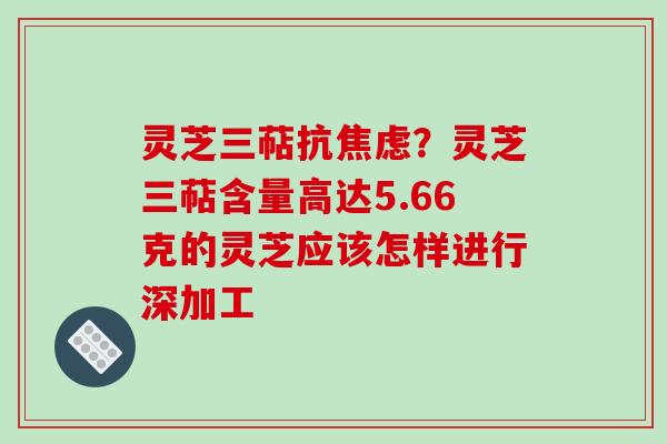 灵芝三萜抗？灵芝三萜含量高达5.66克的灵芝应该怎样进行深加工