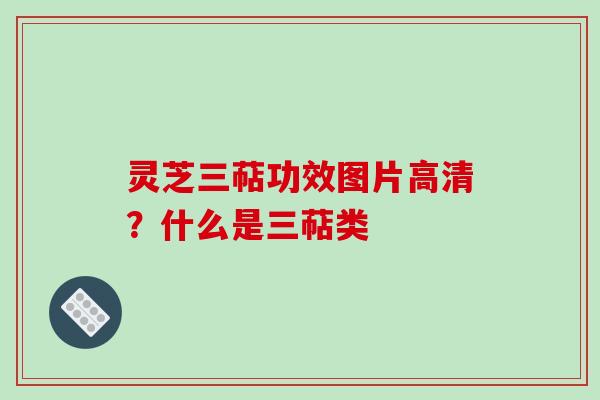 灵芝三萜功效图片高清？什么是三萜类