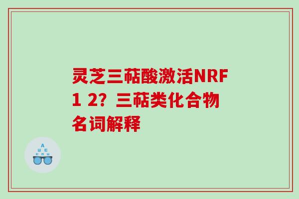 灵芝三萜酸激活NRF1 2?三萜类化合物名词解释 灵芝三萜酸激活NRF1 2?三萜类化合物名词解释