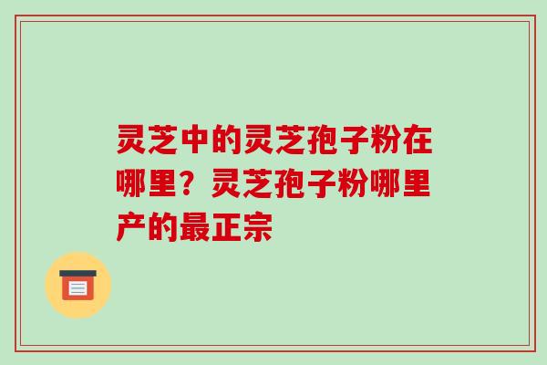 灵芝中的灵芝孢子粉在哪里？灵芝孢子粉哪里产的正宗