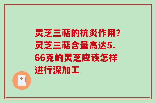 灵芝三萜的抗炎作用？灵芝三萜含量高达5.66克的灵芝应该怎样进行深加工