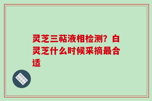 灵芝三萜液相检测？白灵芝什么时候采摘合适
