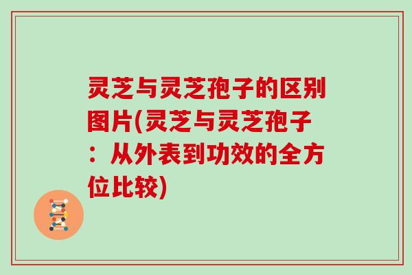 灵芝与灵芝孢子的区别图片(灵芝与灵芝孢子：从外表到功效的全方位比较)