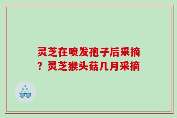 灵芝在喷发孢子后采摘?灵芝猴头菇几月采摘 灵芝在喷发孢子后采摘?灵芝猴头菇几月采摘