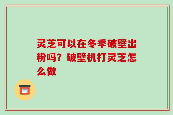 灵芝可以在冬季破壁出粉吗？破壁机打灵芝怎么做