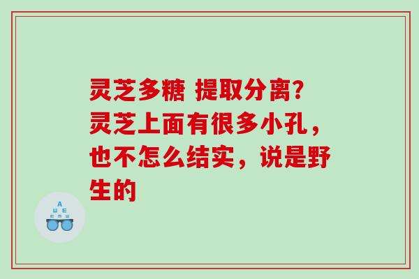灵芝多糖 提取分离?灵芝上面有很多小孔,也不怎么结实,说是野生的 灵芝多糖 提取分离?灵芝上面有很多小孔,也不怎么结实,说是野生的