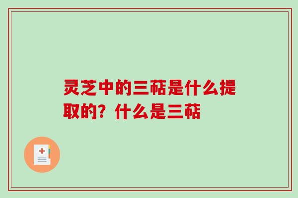 灵芝中的三萜是什么提取的？什么是三萜