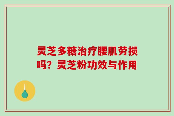 灵芝多糖腰肌劳损吗？灵芝粉功效与作用