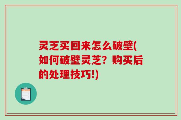 灵芝买回来怎么破壁(如何破壁灵芝？购买后的处理技巧!)