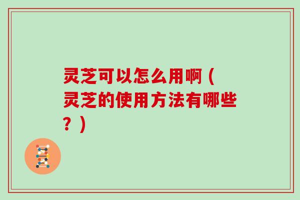 灵芝可以怎么用啊 (灵芝的使用方法有哪些？)
