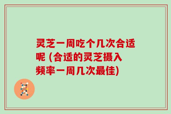 灵芝一周吃个几次合适呢 (合适的灵芝摄入频率一周几次佳)