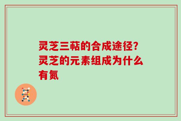 灵芝三萜的合成途径？灵芝的元素组成为什么有氮